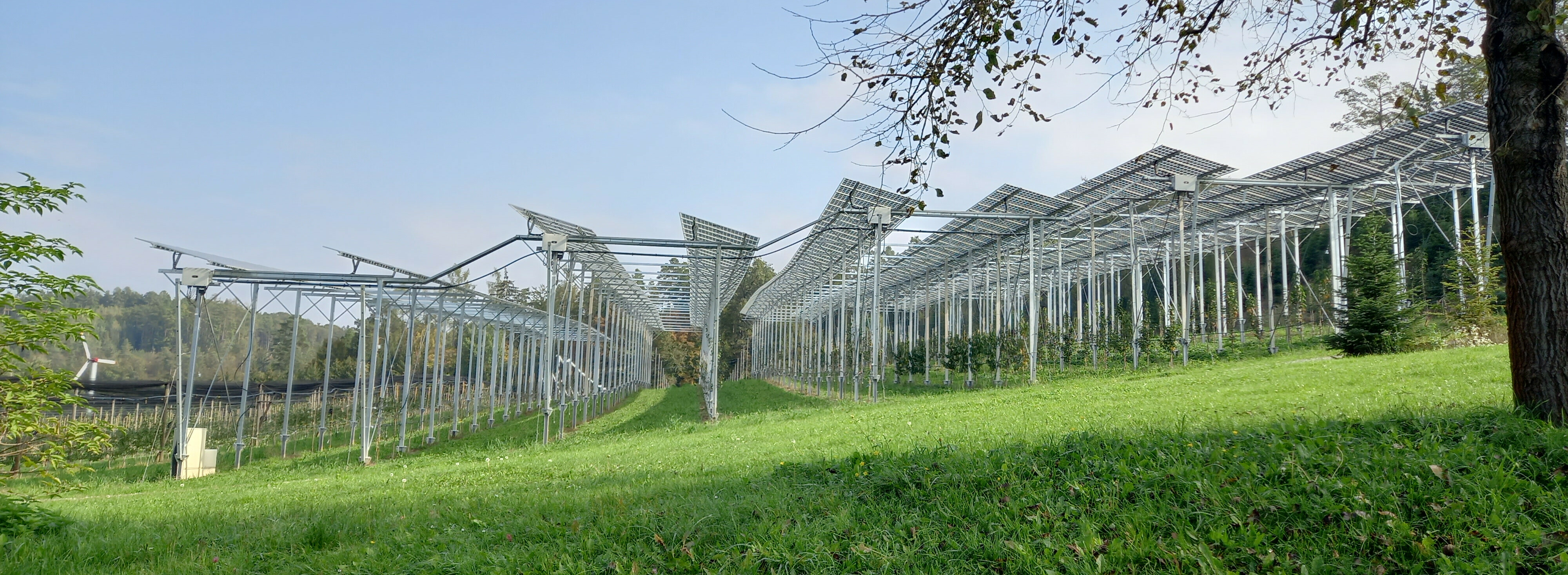 photovoltaique and fruit cultivation land steiermark stationareflh