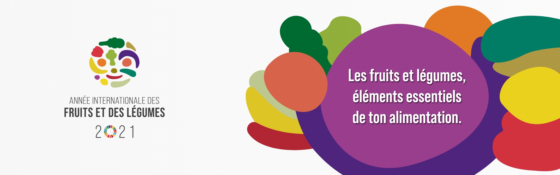 année internationale des f et l