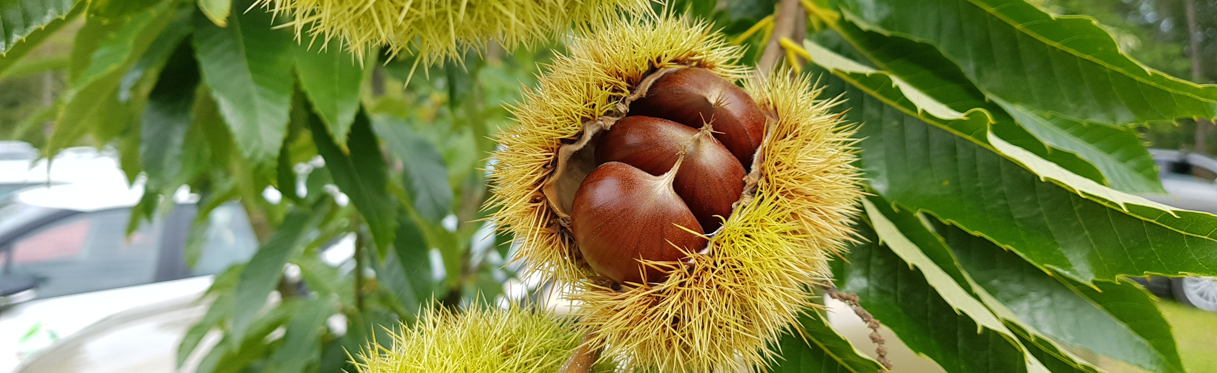 20211001 161813 long