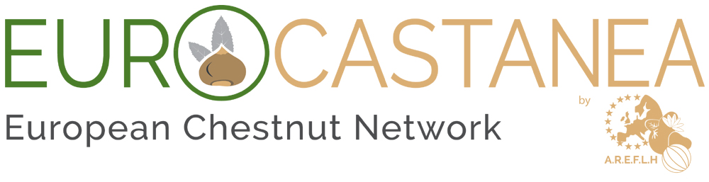 EUROCASTANEA EN 1000px