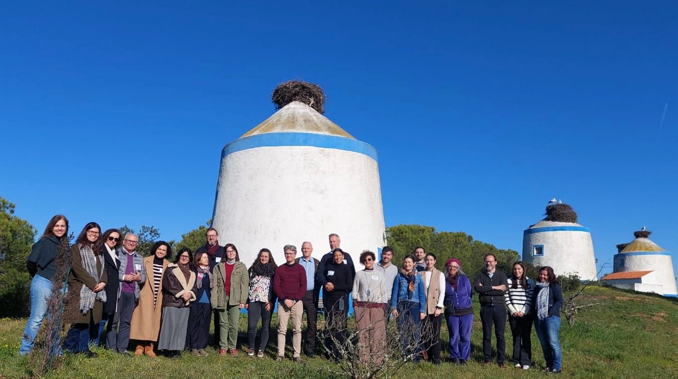 LivingSoiLL portugal fev 2025