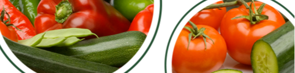 deux ronds legumes header