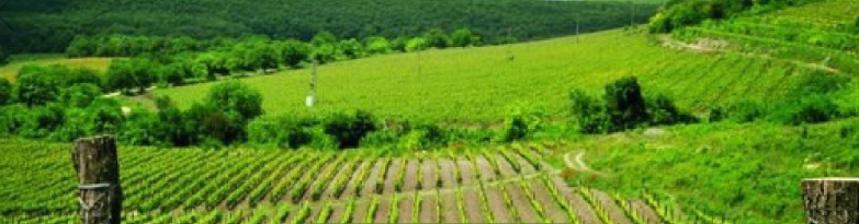 bulgaria novasoil long