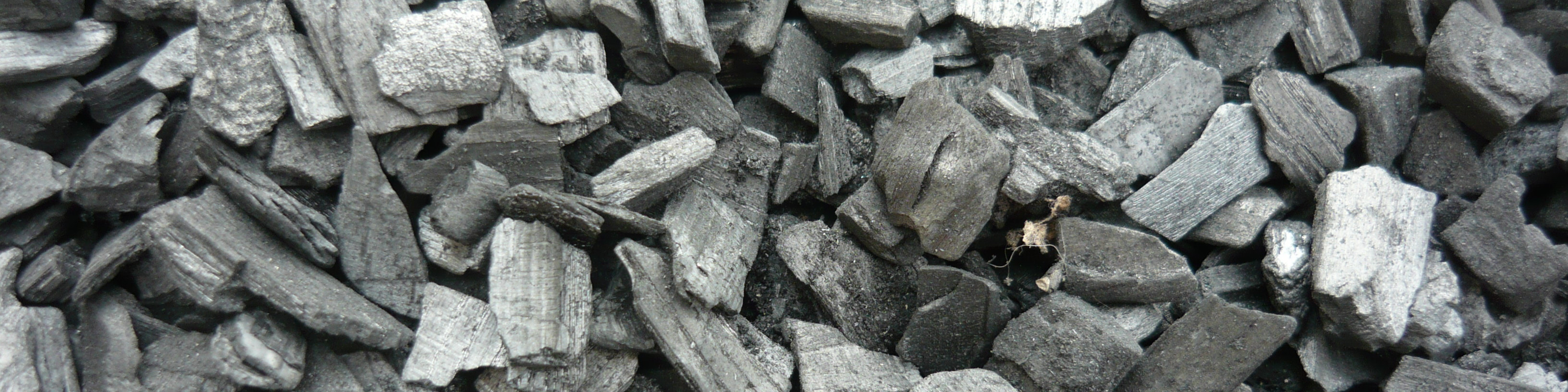 terra preta biochar 1571 header