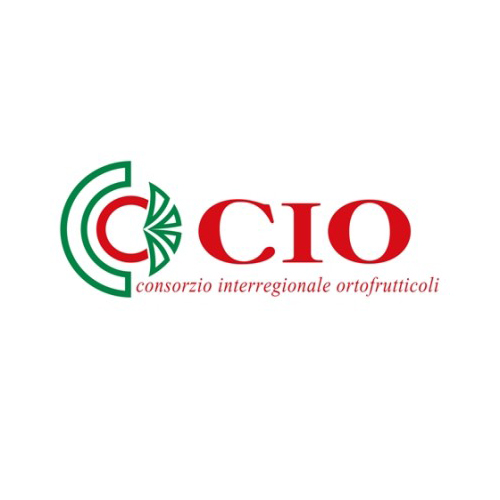 CIO