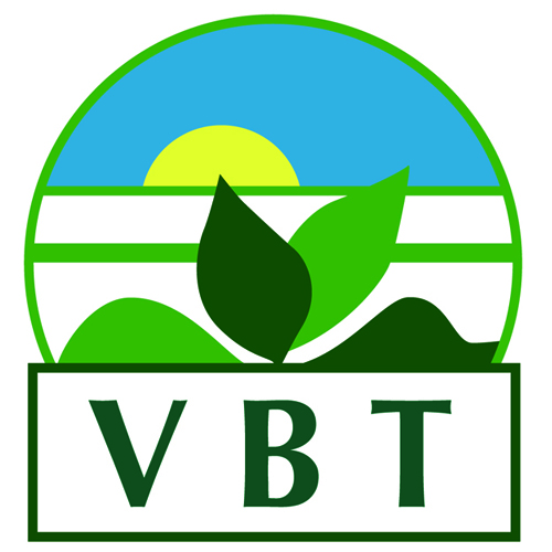VBT