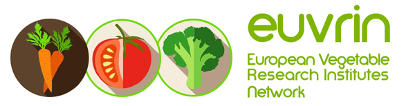 logo euvrin 600px long