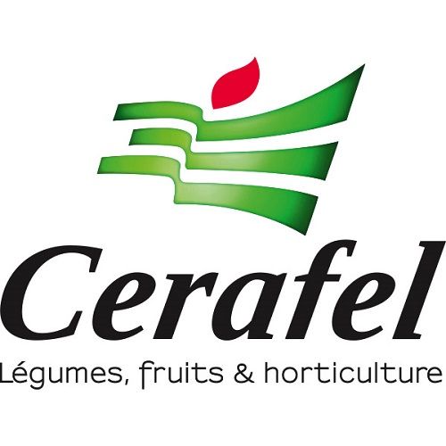 Cerafel