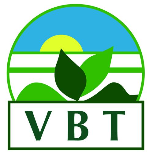 VBT